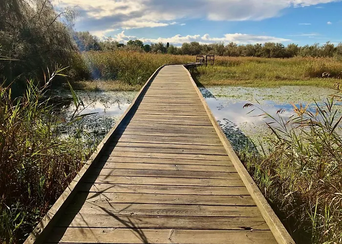 Rêves d\'Ô en Camargue
