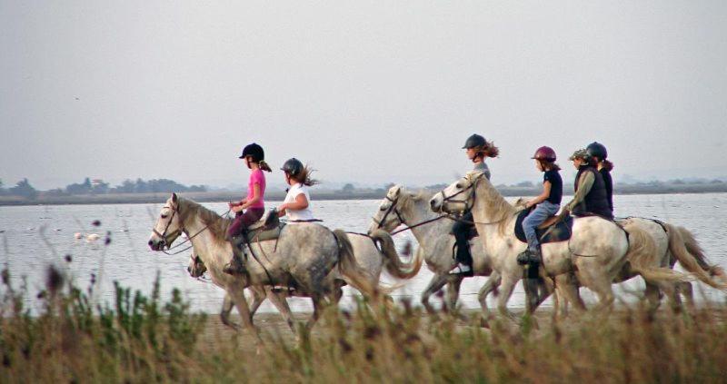 Reves D'o En Camargue, Clim Reversible, Parc Naturel