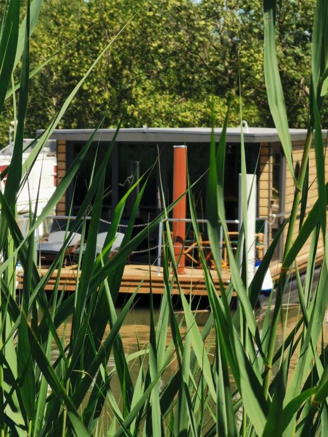Reves D'o En Camargue, Clim Reversible, Parc Naturel Vauvert